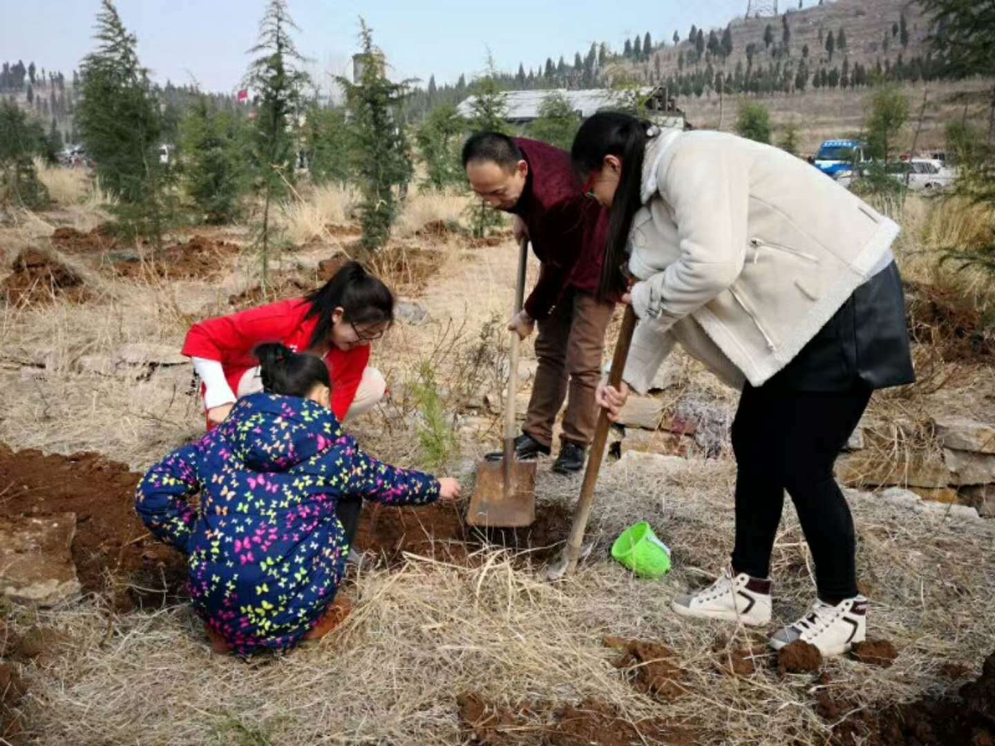 点击查看原始图片