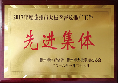 2017年度滕州市太拳普及推广工作集体